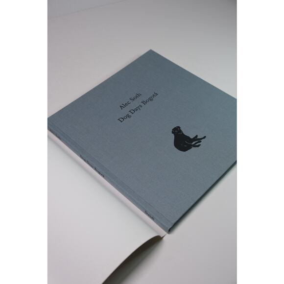 Alec Soth, Dog Days Bogota Hardcover Book RARE Minnesota Photographer - Picture 7 of 15